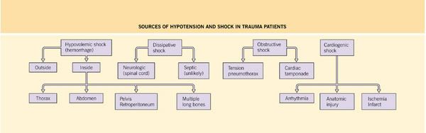 SOURCESHOCKTRAUMA.jpg