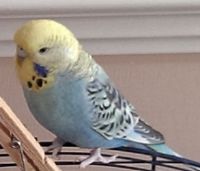 0787c59a-fb39-4587-9ba5-5047d6320374_zps352378f6.jpg?t=1391524596