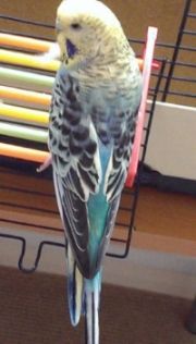 e03035d3-0863-4809-85f7-5e7daa229c54_zps7f9b8f03.jpg?t=1391524475