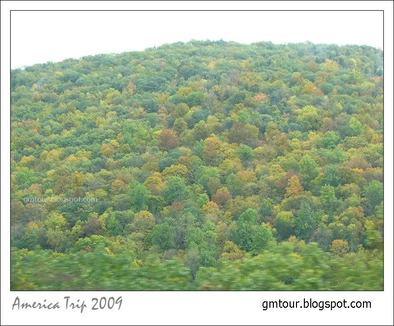 America Autumn 2009_0017 Re_gt.jpg