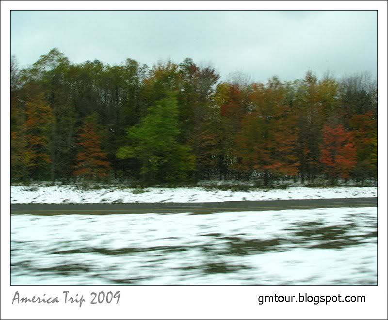 America Autumn 2009_0020 Re_gt.jpg