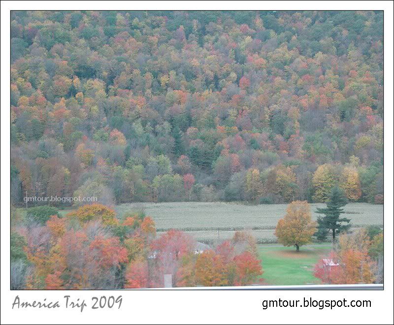 America Autumn 2009_0022 Re_gt.jpg