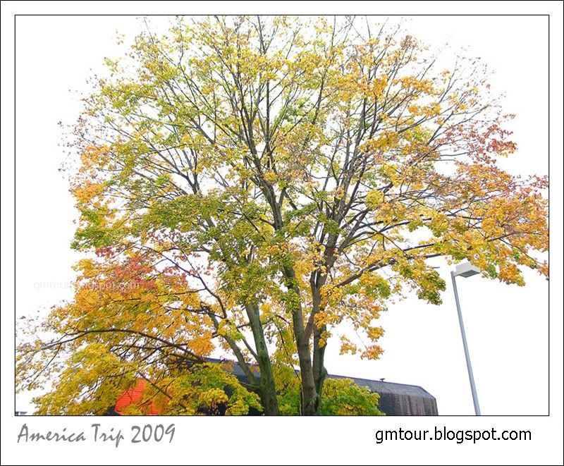 America Autumn 2009_0025 Re_gt.jpg