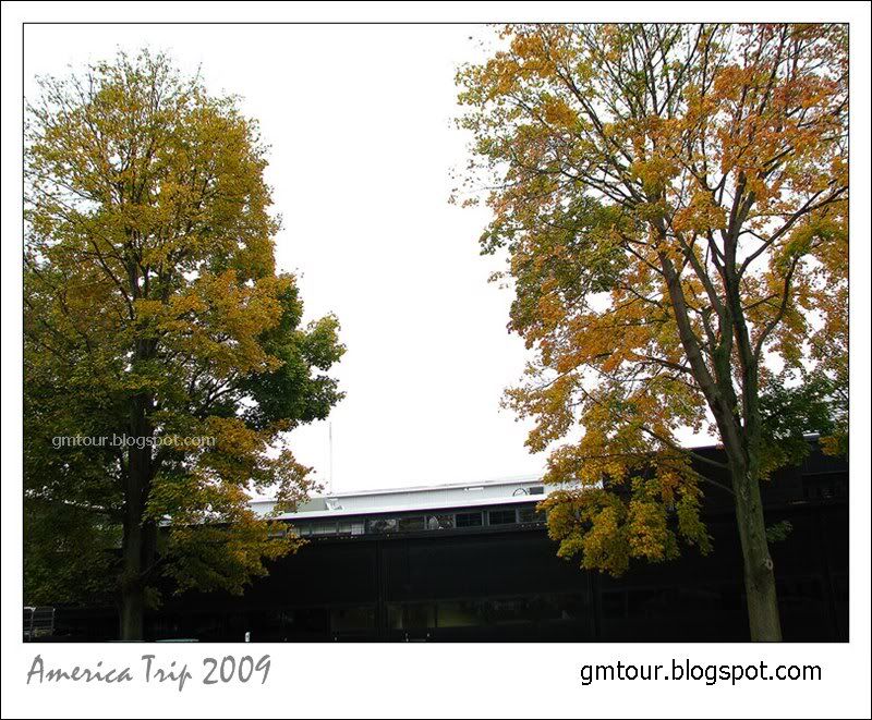 America Autumn 2009_0026 Re_gt.jpg