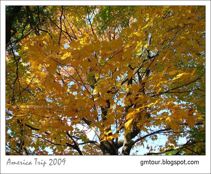 America Autumn 2009_0030 Re_gt.jpg