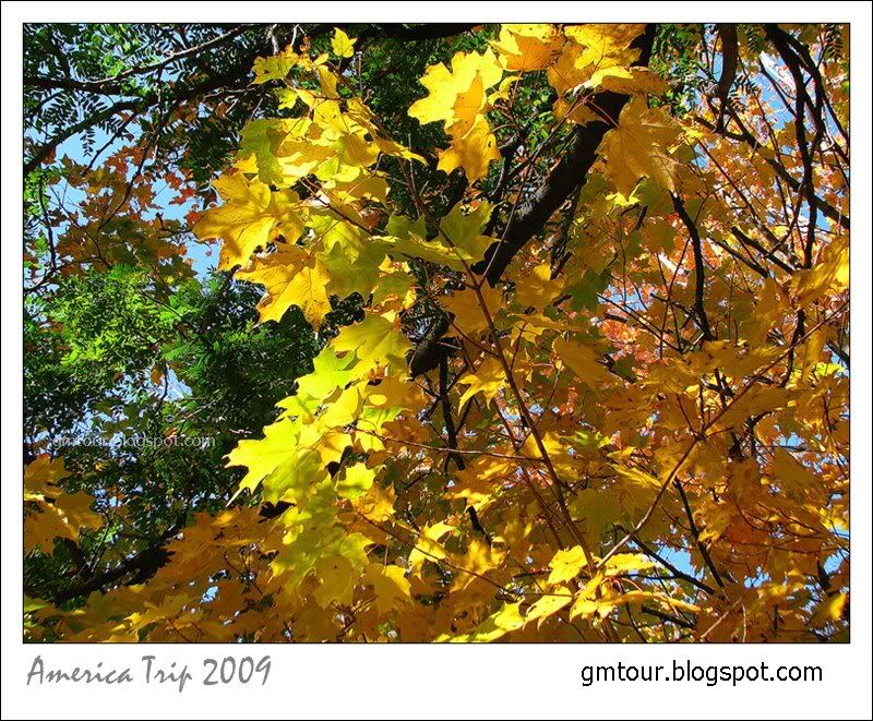 America Autumn 2009_0031 Re_gt.jpg