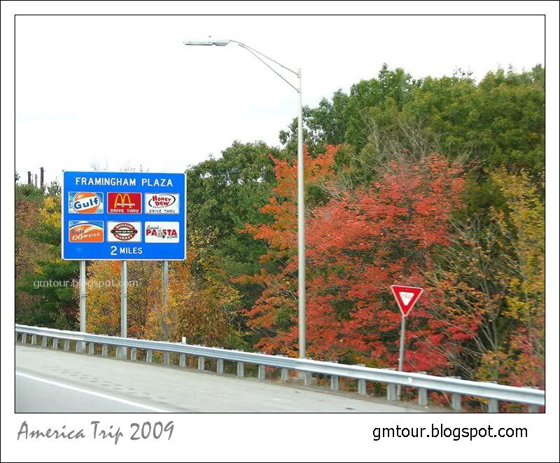 America Autumn 2009_0032 Re_gt.jpg