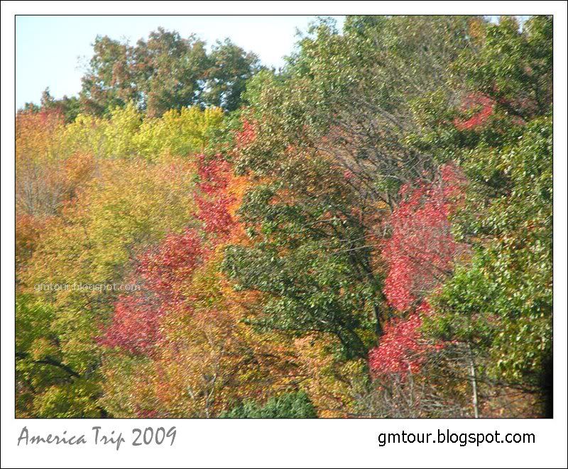 America Autumn 2009_0034 Re_gt.jpg
