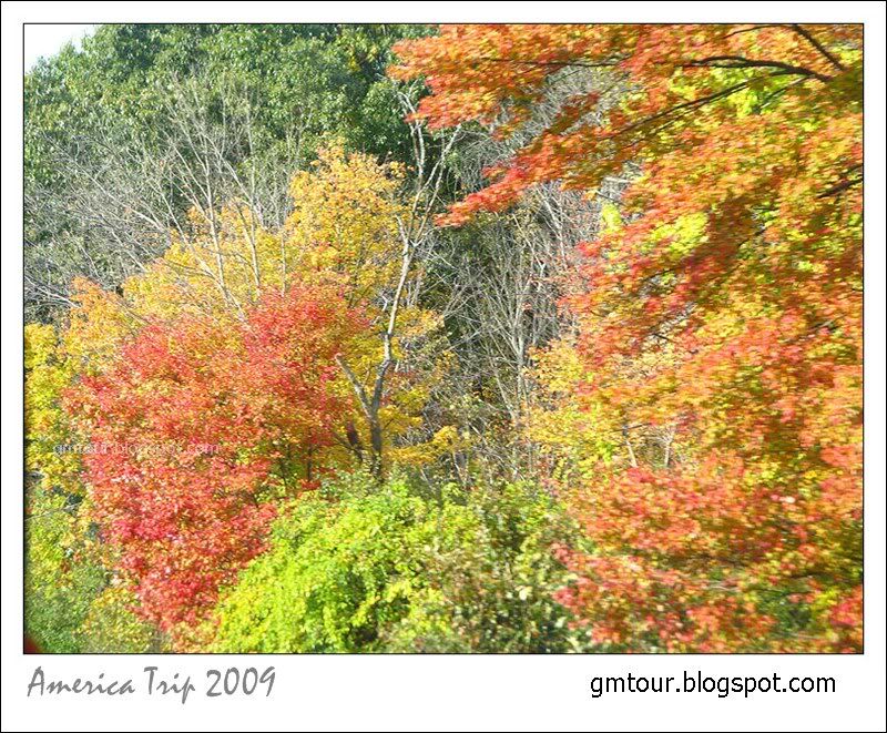 America Autumn 2009_0035 Re_gt.jpg