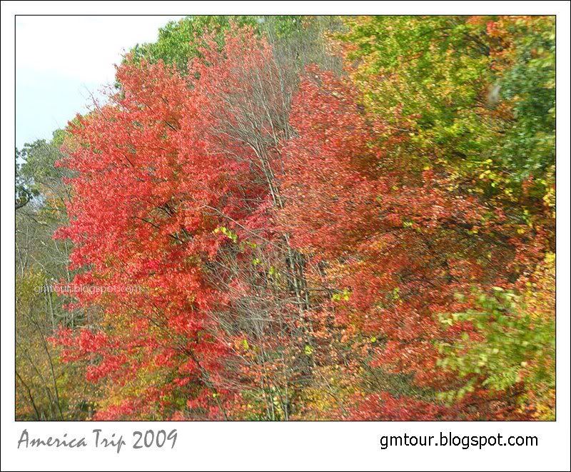 America Autumn 2009_0037 Re_gt.jpg