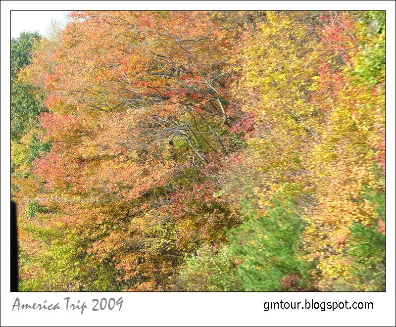 America Autumn 2009_0038 Re_gt.jpg
