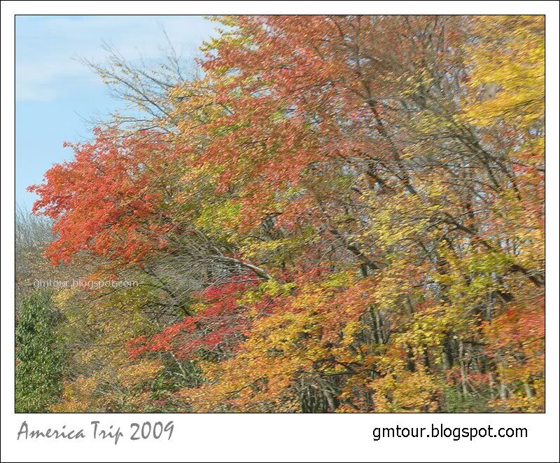 America Autumn 2009_0039 Re_gt.jpg