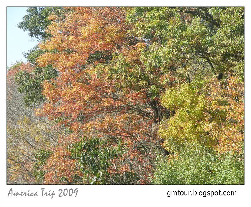 America Autumn 2009_0042 Re_gt.jpg