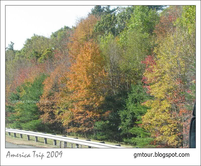 America Autumn 2009_0043 Re_gt.jpg