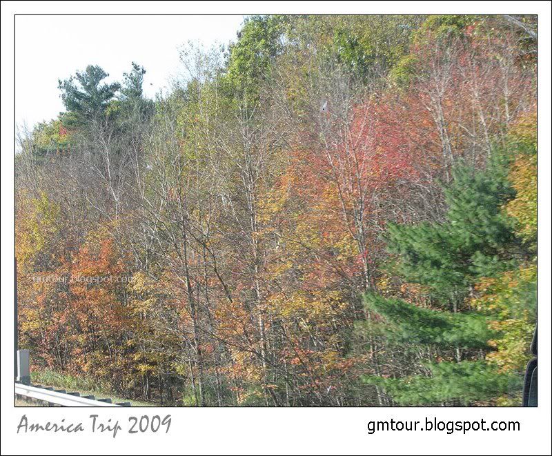 America Autumn 2009_0044 Re_gt.jpg