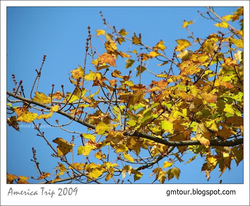 America Autumn 2009_0045 Re_gt.jpg