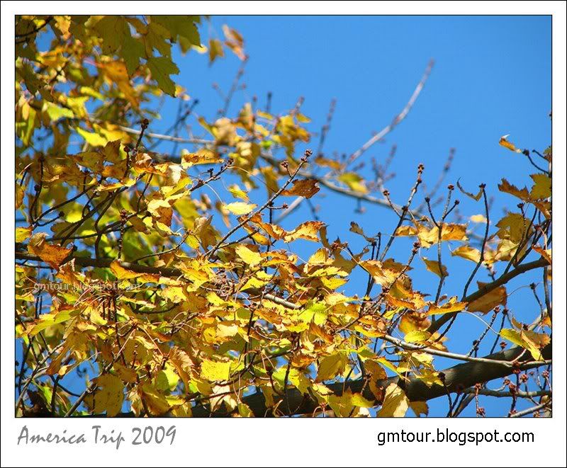 America Autumn 2009_0046 Re_gt.jpg