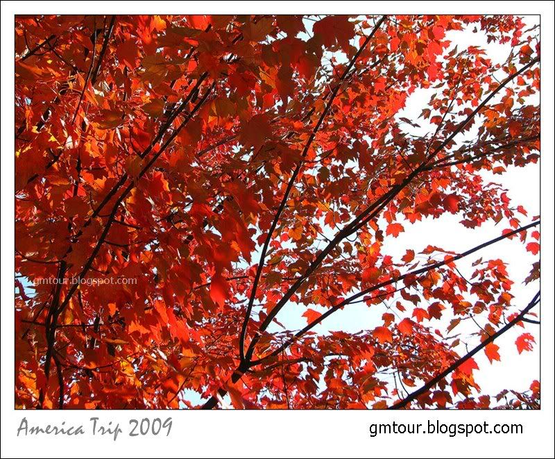 America Autumn 2009_0049 Re_gt.jpg