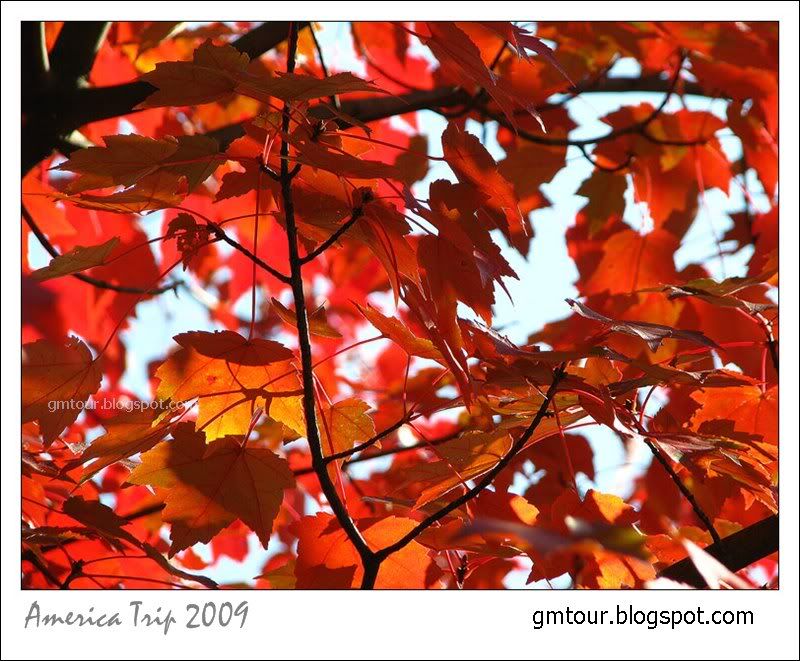 America Autumn 2009_0050 Re_gt.jpg