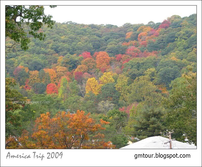 America Autumn 2009_0055 Re_gt.jpg
