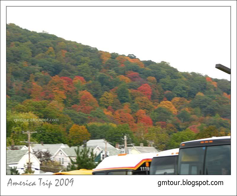 America Autumn 2009_0056 Re_gt.jpg