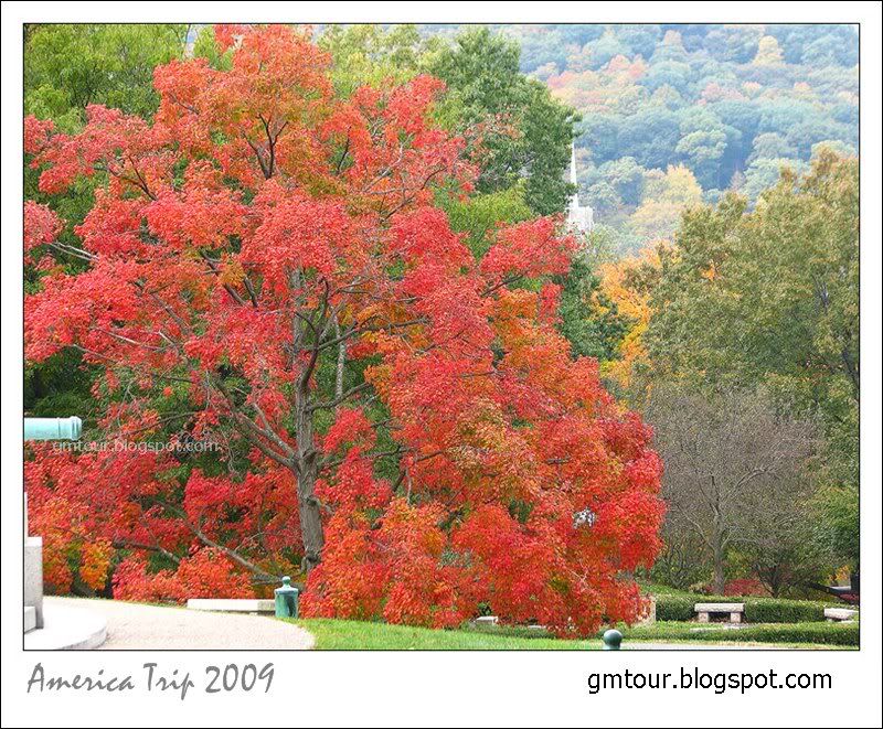 America Autumn 2009_0058 Re_gt.jpg