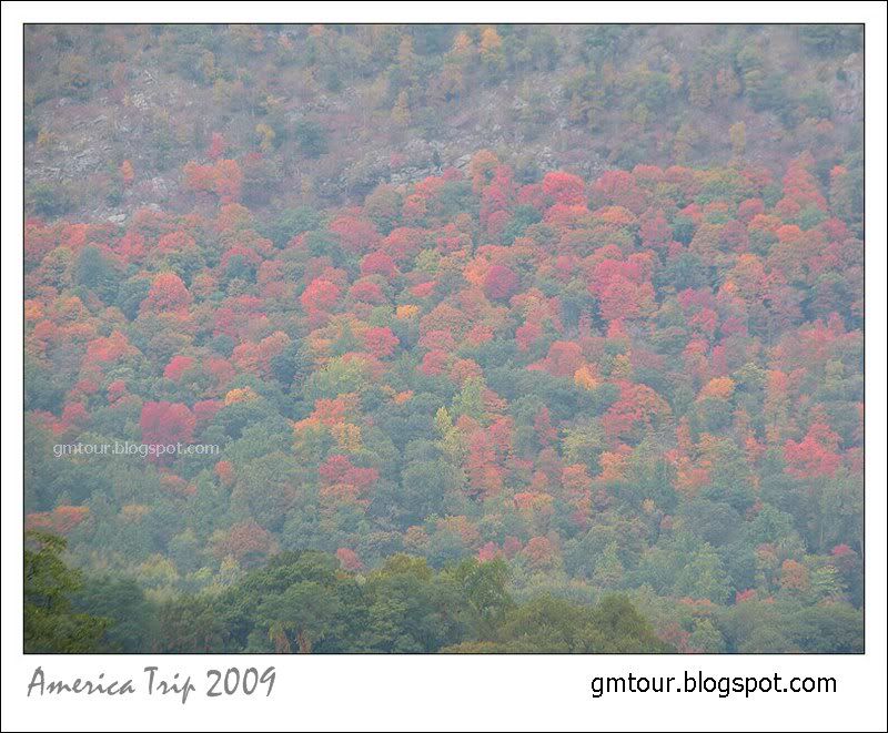 America Autumn 2009_0059 Re_gt.jpg