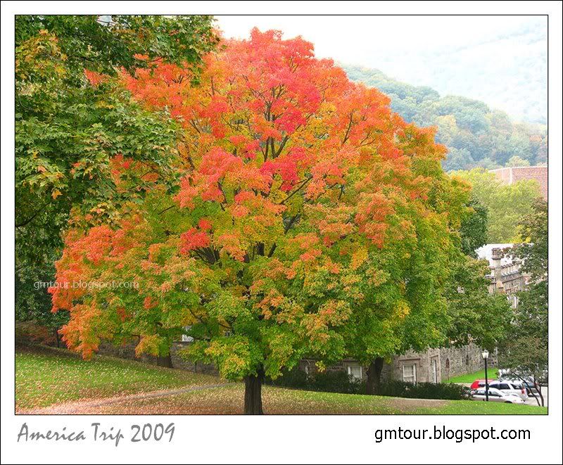 America Autumn 2009_0061 Re_gt.jpg