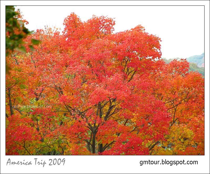 America Autumn 2009_0062 Re_gt.jpg