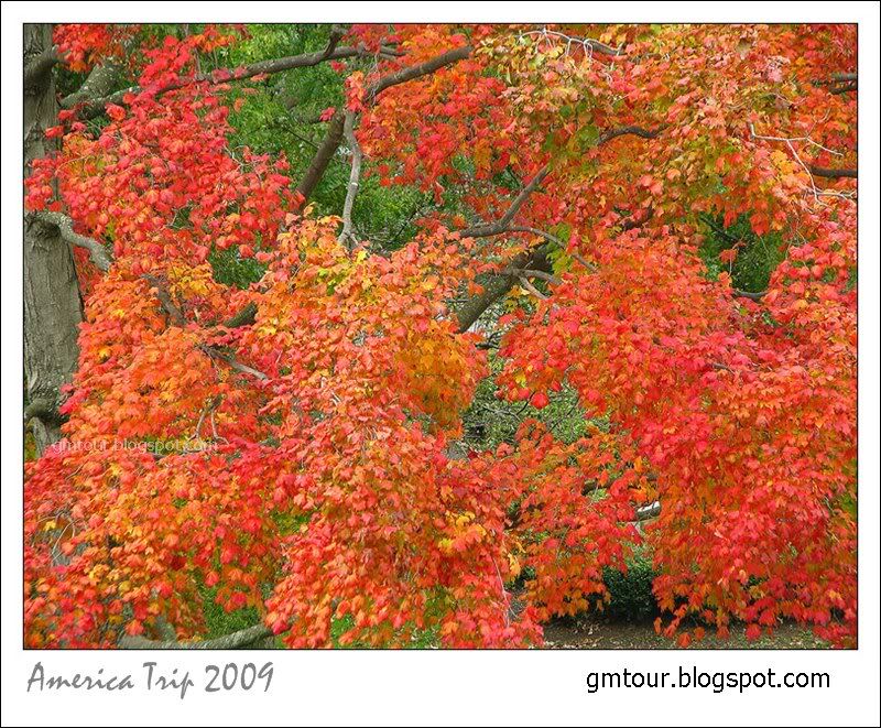 America Autumn 2009_0063 Re_gt.jpg