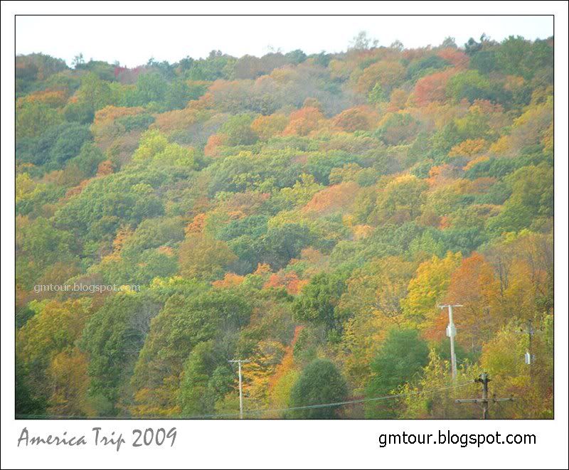 America Autumn 2009_0065 Re_gt.jpg