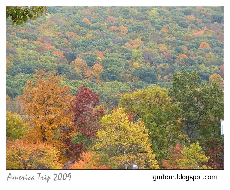 America Autumn 2009_0066 Re_gt.jpg