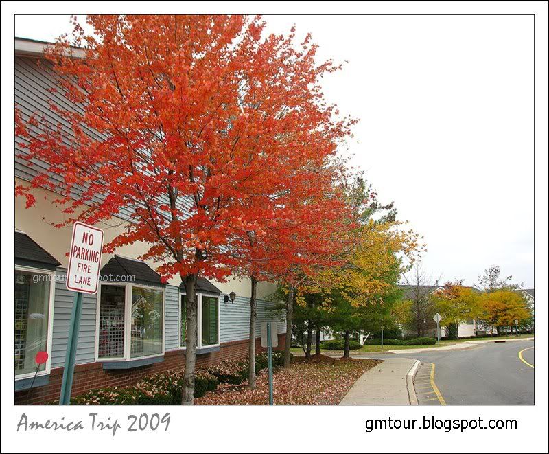 America Autumn 2009_0067 Re_gt.jpg