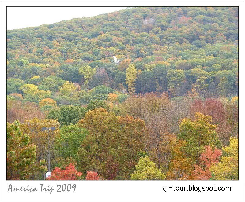 America Autumn 2009_0069 Re_gt.jpg