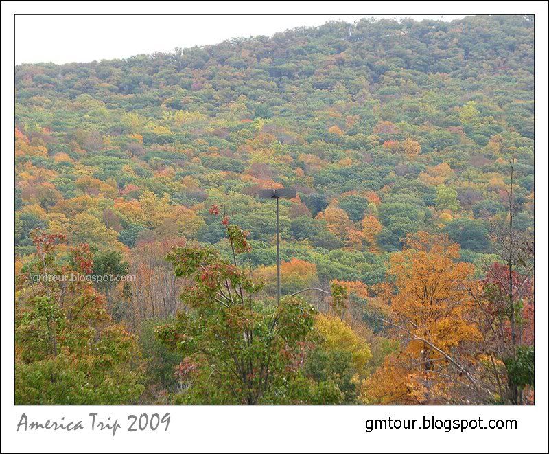 America Autumn 2009_0070 Re_gt.jpg