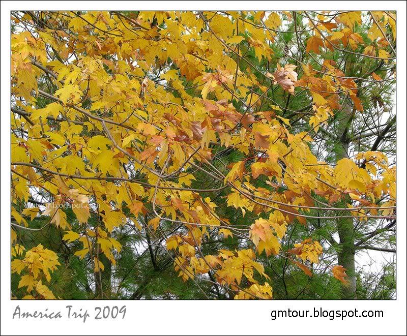 America Autumn 2009_0071 Re_gt.jpg