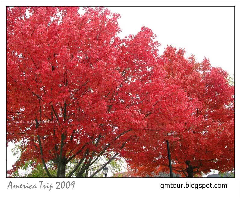 America Autumn 2009_0072 Re_gt.jpg