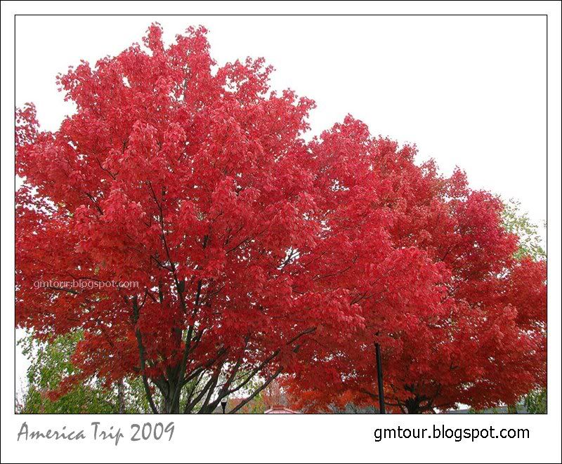 America Autumn 2009_0073 Re_gt.jpg