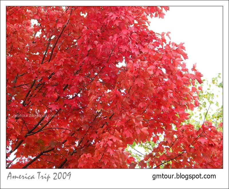 America Autumn 2009_0075 Re_gt.jpg