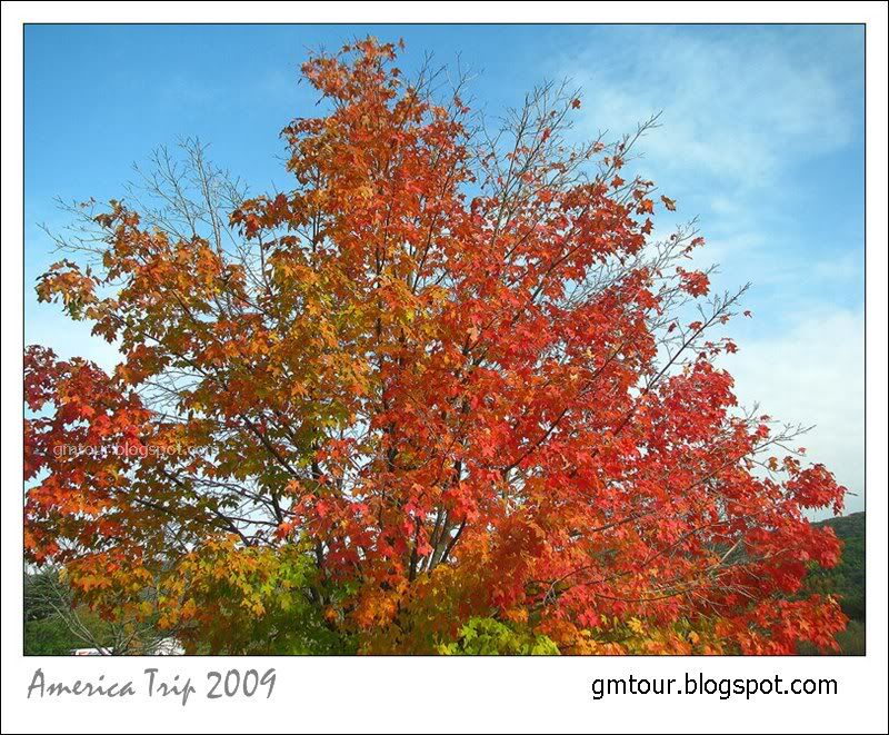 America Autumn 2009_0076 Re_gt.jpg