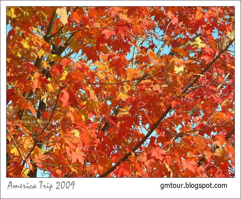 America Autumn 2009_0077 Re_gt.jpg