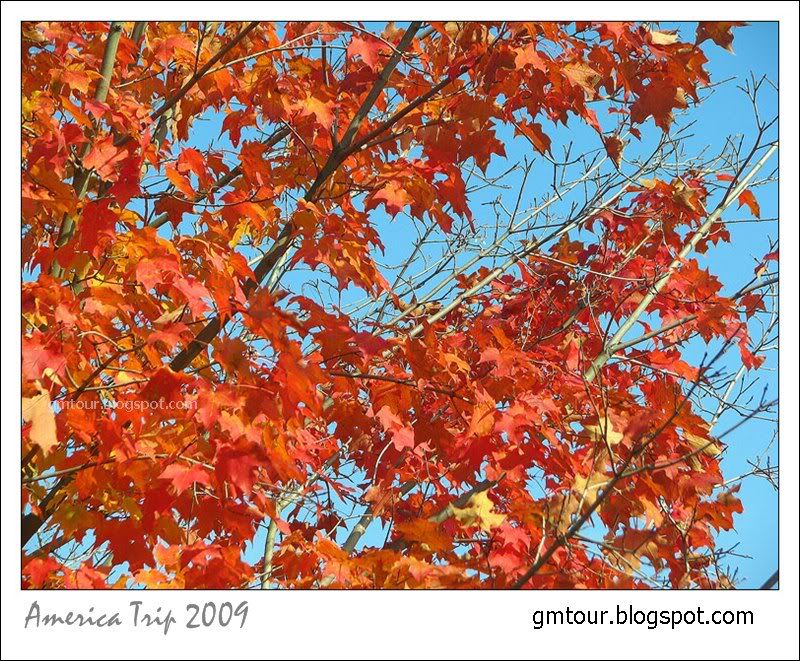 America Autumn 2009_0078 Re_gt.jpg