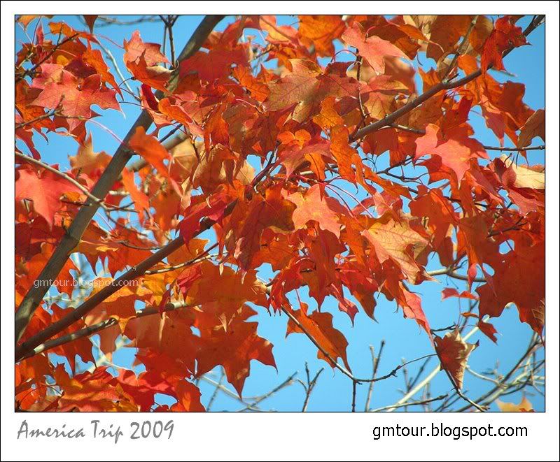 America Autumn 2009_0079 Re_gt.jpg