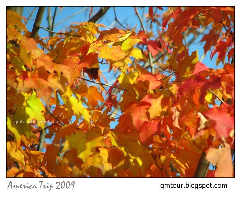 America Autumn 2009_0080 Re_gt.jpg