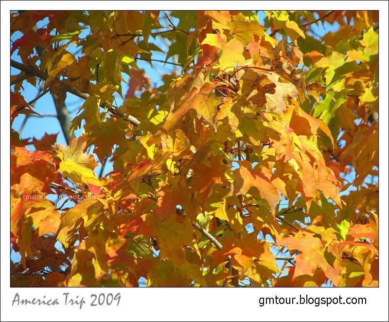 America Autumn 2009_0081 Re_gt.jpg