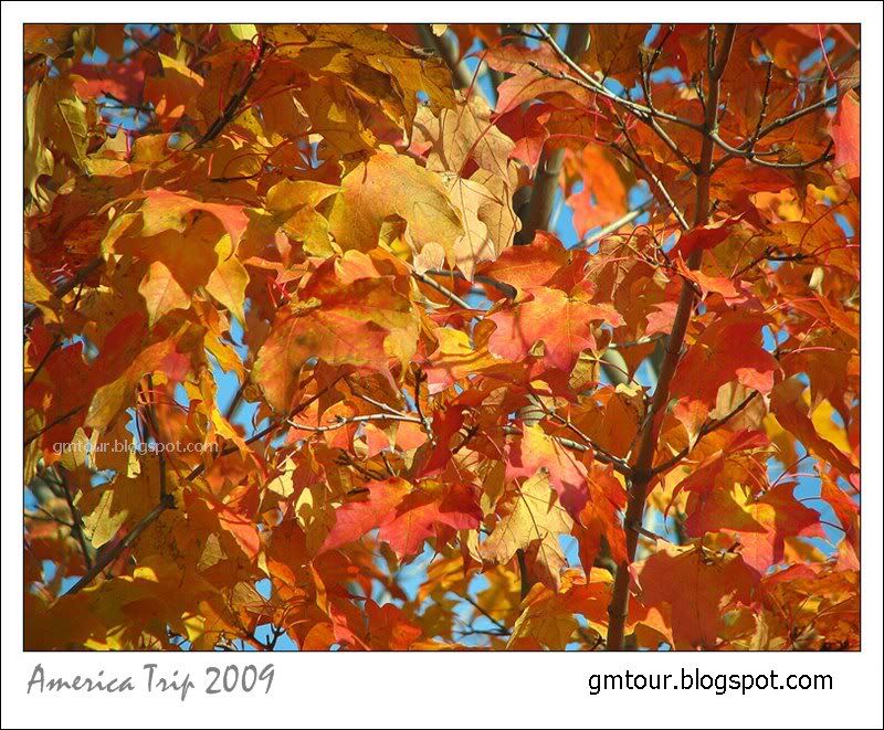 America Autumn 2009_0082 Re_gt.jpg