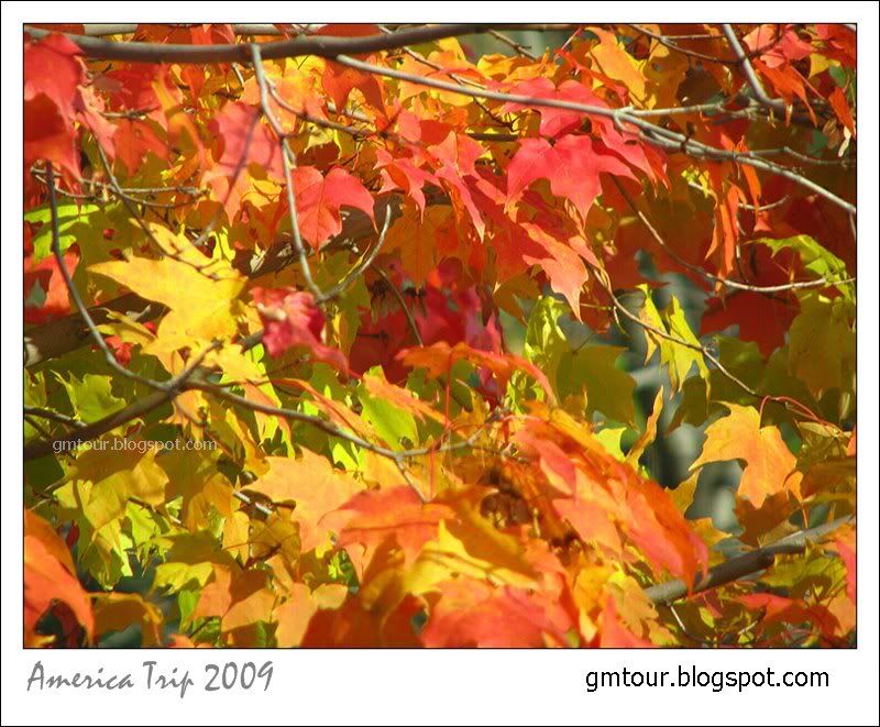 America Autumn 2009_0083 Re_gt.jpg
