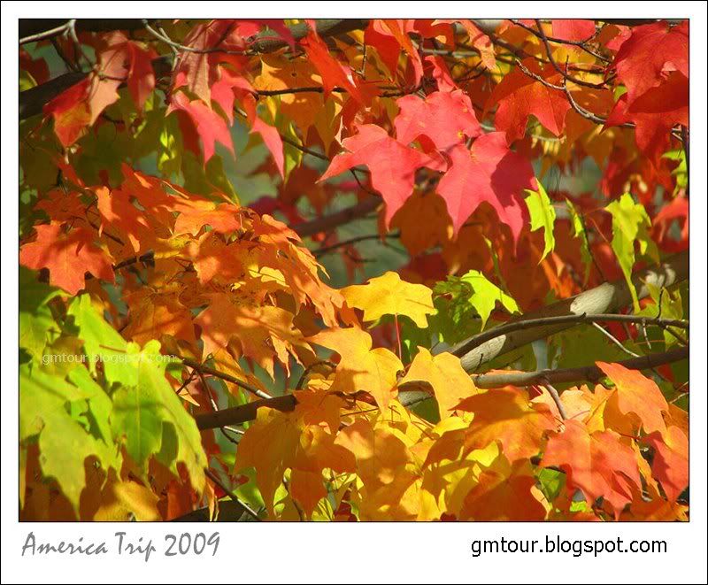 America Autumn 2009_0084 Re_gt.jpg