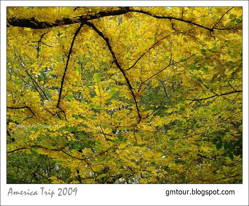 America Autumn 2009_0085 Re_gt.jpg