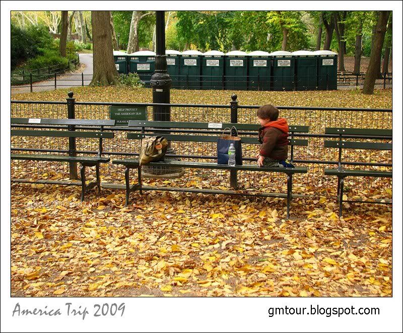 America Autumn 2009_0087 Re_gt.jpg